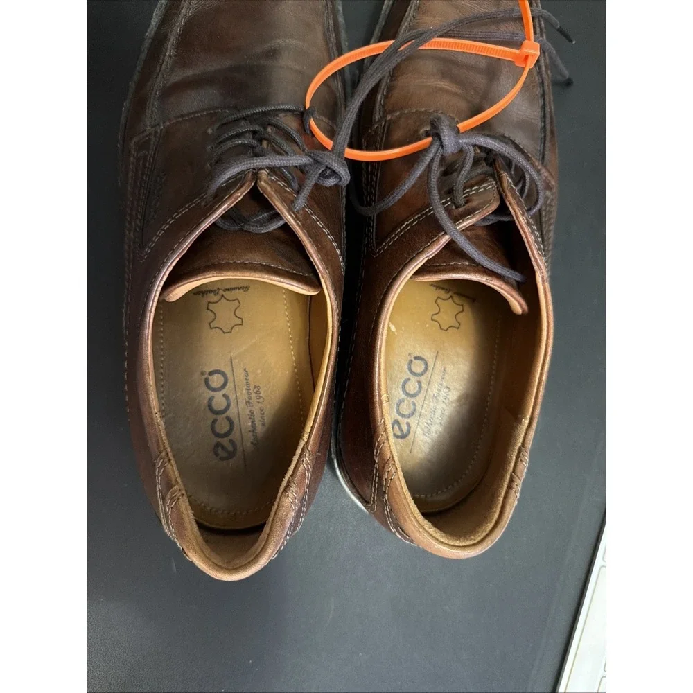 Ecco men windsor